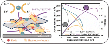 Graphical abstract: Carbon nanofiber/graphene hybrids anchoring Fe, N, and S heteroatoms simultaneously enhancing extracellular electron transfer and biofilm adhesion in microbial fuel cells