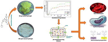 Graphical abstract: CCD-optimized Moringa oleifera-based hydrogel for the targeted and controlled release of the anti-cancer drug Raloxifene: evaluation of hemocompatible, cytotoxic and antioxidant properties