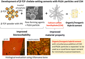 Graphical abstract: Development of paste-like organic/inorganic artificial bones compatible with bone remodeling cycles, consisting of β-tricalcium phosphate, calcium sulfate hemihydrate, and poly(lactic-co-glycolic acid) particles