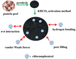 Graphical abstract: Adsorption behavior of chloramphenicol on an activated carbon from pomelo peel using KHCO3 activator