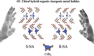 Graphical abstract: Chiral zero-dimensional hybrid organic–inorganic metal halides based on nipecotic acid and tetrabromocuprate