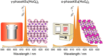 Graphical abstract: Elucidation of the structural features and photoluminescence properties of a hydrothermally-synthesized γ-KEu(MoO4)2 microcrystal phosphor with metastable orthorhombic structure and differences in the luminescence properties by structure transition due to Y3+-dilution