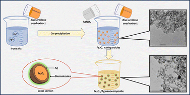 Graphical abstract: Preparation of stable Fe2O3/Ag nanocomposite particles with catalytic, antioxidant and antibacterial properties
