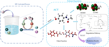 Graphical abstract: Activation of sodium percarbonate by cysteine complexation of Fe(ii) for the degradation of acetaminophen in water