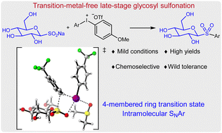 Graphical abstract: Transition-metal-free glycosyl sulfonation of diaryliodonium salts with sodium glycosyl sulfinate: an efficient approach to access glycosyl aryl sulfones