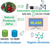 Graphical abstract: Machine learning-assisted structure annotation of natural products based on MS and NMR data