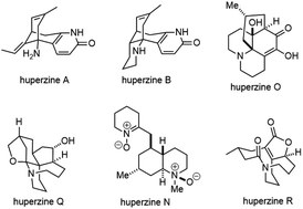 Graphical abstract: Huperzine alkaloids: forty years of total syntheses
