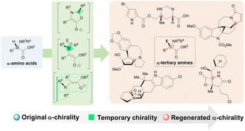 Graphical abstract: Recent asymmetric synthesis of natural products bearing an α-tertiary amine moiety via temporary chirality induction strategies