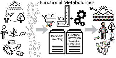 Graphical abstract: Connecting metabolome and phenotype: recent advances in functional metabolomics tools for the identification of bioactive natural products