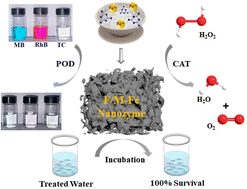 Graphical abstract: Fe3N-decorated porous carbon frameworks from wheat flour with dual enzyme-mimicking activities for organic pollutant degradation