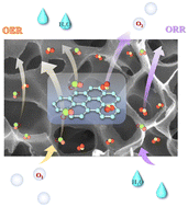 Graphical abstract: Boosting oxygen evolution electrocatalysis via CeO2 engineering on Fe2N nanoparticles for rechargeable Zn–air batteries