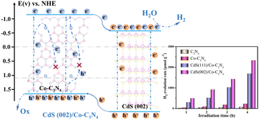Graphical abstract: Construction of a heterojunction with fast charge transport channels for photocatalytic hydrogen evolution via a synergistic strategy of Co-doping and crystal plane modulation