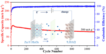 Graphical abstract: Integrating molybdenum into zinc vanadate enables Zn3V2MoO8 as a high-capacity Zn-supplied cathode for Zn-metal free aqueous batteries