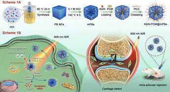 Graphical abstract: Near-infrared light-controlled kartogenin delivery of multifunctional Prussian blue nanocomposites for cartilage defect repair