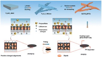 Graphical abstract: A separator modified by barium titanate with macroscopic polarization electric field for high-performance lithium–sulfur batteries