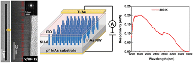 Graphical abstract: InAs nanowire arrays for room-temperature ultra-broadband infrared photodetection