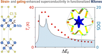Graphical abstract: Superconductivity in functionalized niobium-carbide MXenes