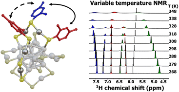 Graphical abstract: Intracluster ligand rearrangement: an NMR-based thermodynamic study