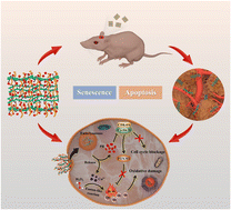 Graphical abstract: Targeting CDK4/6 in glioblastoma via in situ injection of a cellulose-based hydrogel