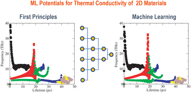 Graphical abstract: Gaussian approximation potentials for accurate thermal properties of two-dimensional materials