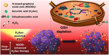Graphical abstract: Concise nanotherapeutic modality for cancer involving graphene oxide dots in conjunction with ascorbic acid