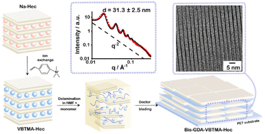 Graphical abstract: Fabrication of Bragg stack films of clay nanosheets and polycations via co-polymerization of intercalated monomers and functional interlayer cations