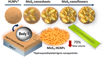 Graphical abstract: MoS2 nanoflower-decorated lignin nanoparticles for superior lubricant properties