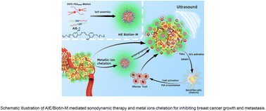 Graphical abstract: Tumor-targeted AIE polymeric micelles mediated immunogenic sonodynamic therapy inhibits cancer growth and metastasis