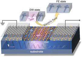 Graphical abstract: Realizing multiple non-volatile resistance states in a two-dimensional domain wall ferroelectric tunneling junction