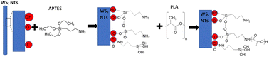 Graphical abstract: Silane functionalization of WS2 nanotubes for interaction with poly(lactic acid)