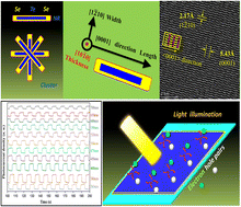 Graphical abstract: One-dimensional TeSe nano-heterojunction: formation, calculations, carrier dynamics, and application in broad-spectrum photodetectors