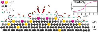 Graphical abstract: A ferromagnetic Eu–Pt surface compound grown below hexagonal boron nitride