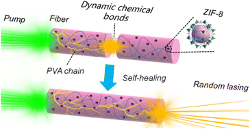 Graphical abstract: Metal–organic framework-based self-healing hydrogel fiber random lasers