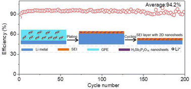 Graphical abstract: A quasi-solid polymer electrolyte initiated by two-dimensional functional nanosheets for stable lithium metal batteries
