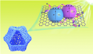 Graphical abstract: Engineering cuboctahedral N-doped C-coated p-CuO/n-TiO2 heterojunctions toward high-performance photocatalytic cross-dehydrogenative coupling