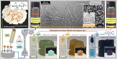 Graphical abstract: Water-redispersible and high-yield α-chitin nanocrystals isolated using electron-beam irradiation as adsorbents to remove heavy metals and dye