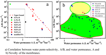 Graphical abstract: Enhanced efficiency of water desalination in nanostructured thin-film membranes with polymer grafted nanoparticles