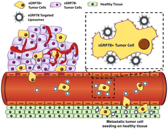 Graphical abstract: A nanotherapeutic approach to selectively eliminate metastatic breast cancer cells by targeting cell surface GRP78