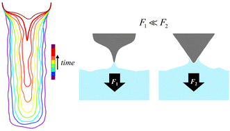 Graphical abstract: Shape optimization of a meniscus-adherent nanotip