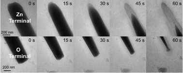 Graphical abstract: In situ study of wet chemical etching of ZnO nanowires with different diameters and polar surfaces by LCTEM