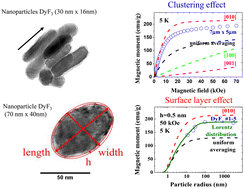 Graphical abstract: A study of the size and clustering effects of DyF3 samples