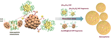 Graphical abstract: Dissociative reactions of [Au25(SR)18]− at copper oxide nanoparticles and formation of aggregated nanostructures