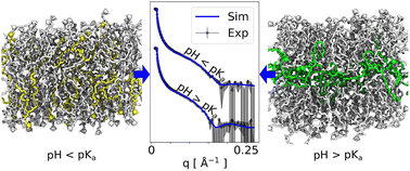 Graphical abstract: Structural insights on ionizable Dlin-MC3-DMA lipids in DOPC layers by combining accurate atomistic force fields, molecular dynamics simulations and neutron reflectivity