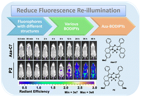 Graphical abstract: Selection of an aggregation-caused quenching-based fluorescent tracer for imaging studies in nano drug delivery systems