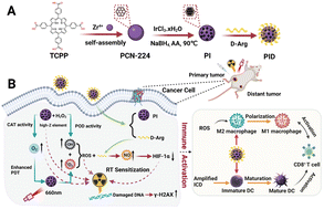 Graphical abstract: Reprogramming of the tumor microenvironment using a PCN-224@IrNCs/d-Arg nanoplatform for the synergistic PDT, NO, and radiosensitization therapy of breast cancer and improving anti-tumor immunity