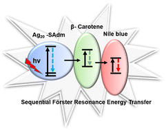 Graphical abstract: Luminescent [CO2@Ag20(SAdm)10(CF3COO)10(DMA)2] nanocluster: synthetic strategy and its implication towards white light emission