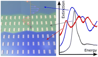 Graphical abstract: Strong light–matter coupling in pentacene thin films on plasmonic arrays