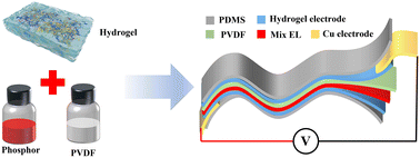 Graphical abstract: Flexible multi-color electroluminescent devices with a high transmission conducting hydrogel and an organic dielectric