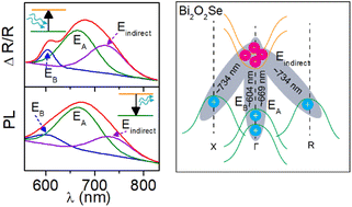 Graphical abstract: Room temperature exciton formation and robust optical properties of CVD-grown ultrathin Bi2O2Se crystals on arbitrary substrates
