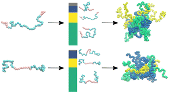 Graphical abstract: Topology-controlled self-assembly of amphiphilic block copolymers